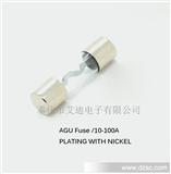 AGU镀镍玻璃保险丝管
