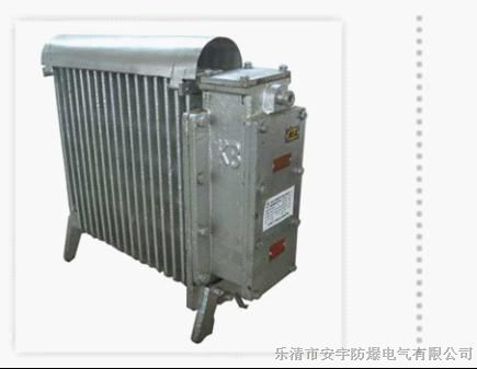 供应RB2000/127（A）矿用电加热取暖器散热器
