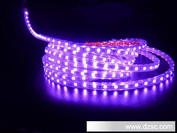 SMD5050 puple..