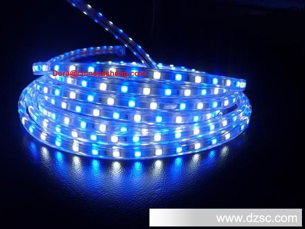 SMD5050 blue  white