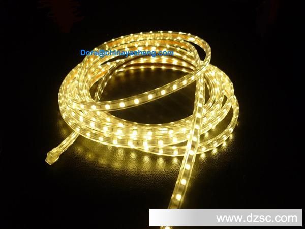 SMD5050 warm white