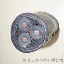 云南昆明YJV10KV3*120高压电缆