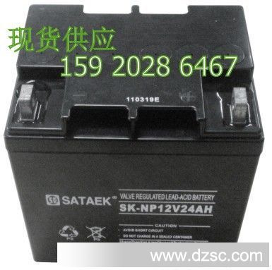 SATAEK阀控式密封免维护铅酸蓄电池12v24