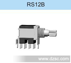 RS12B (2)