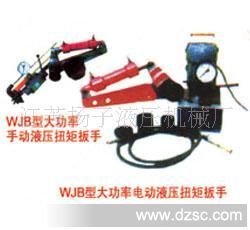 生产WJB型大功率手动电动液压扭矩扳手