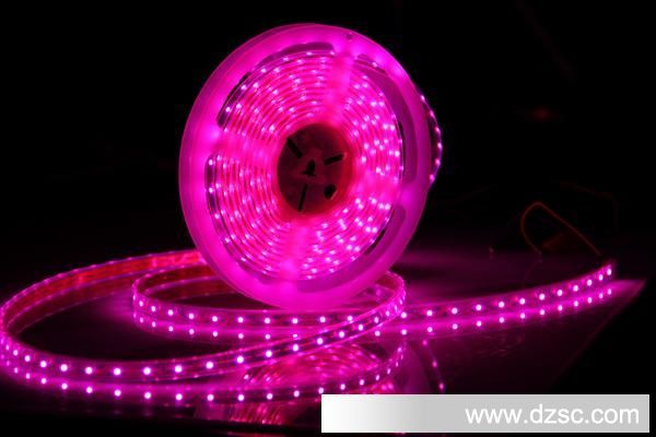 供应LED  粉色防水灯条