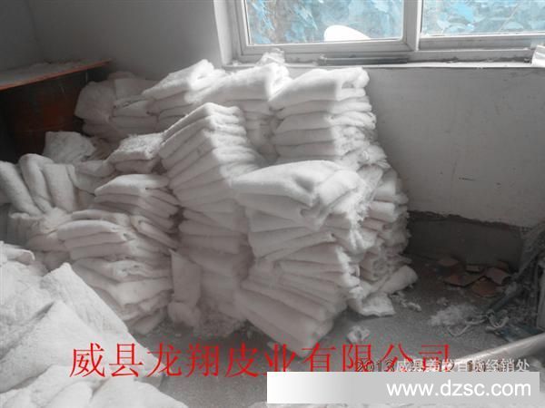 11_副本