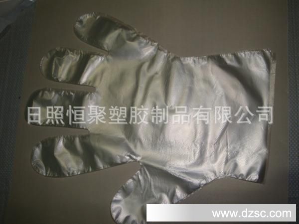 DSC01079