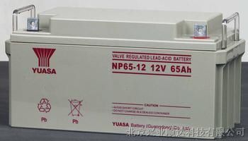 供应免维护电池NP65-12,12V65AH，汤浅蓄电池代理