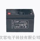 广州科士达UPS免维护蓄电池24AH报价 博尔特 新威蓄电池