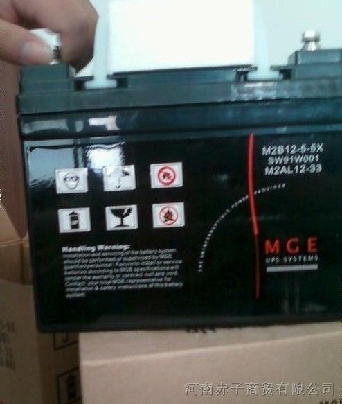 MGE梅兰日兰蓄电池M2AL12-65