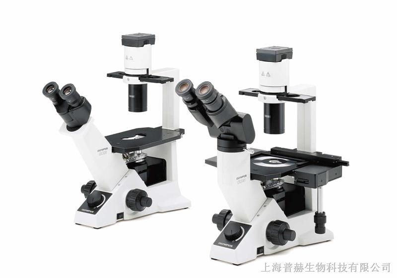 供应奥林巴斯CKX31显微镜