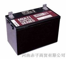 大力神蓄电池MSP12-100