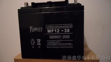 供应优佩斯蓄电池MF12-38代理商