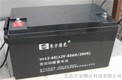 供应东方阳光蓄电池MS12-100,12V100AH，东方阳光UPS电池