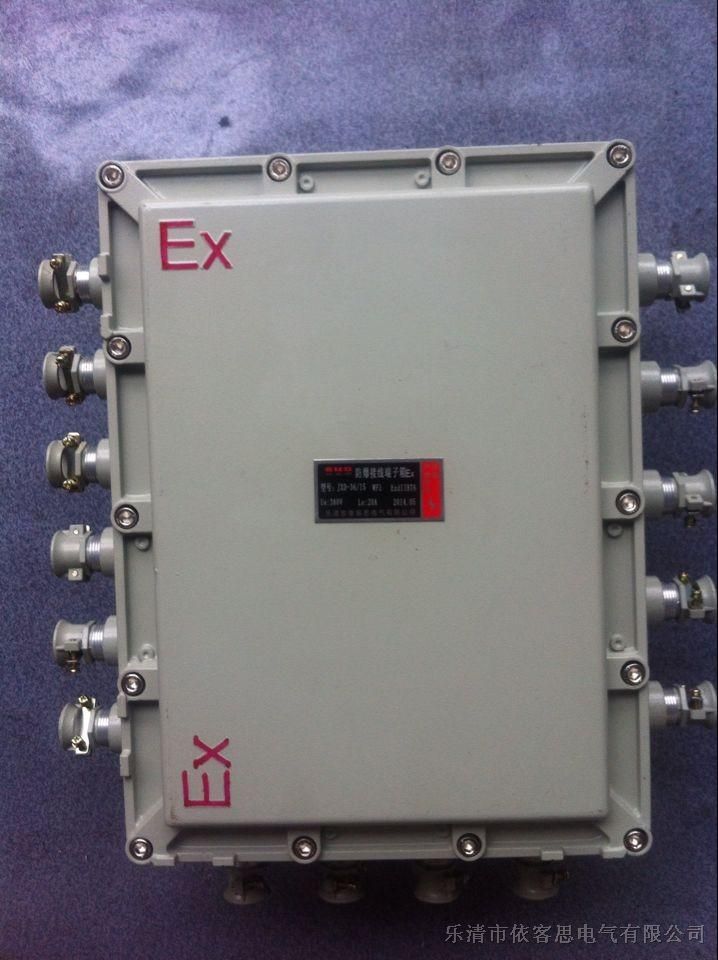 BJX-20/30 ExdIIBT6/Ͻ½³