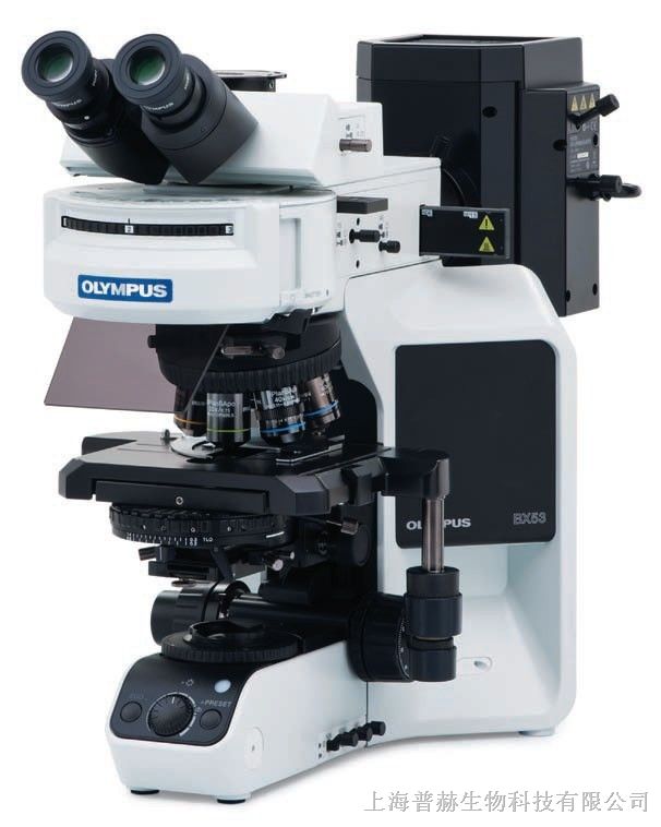 供应奥林巴斯三目显微镜BX53-32P02
