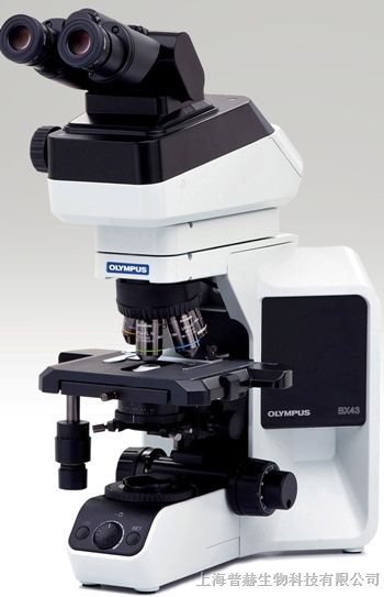 供应奥林巴斯三目显微镜BX43连接电脑拍照