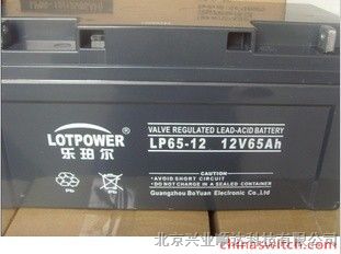 供应乐珀尔蓄电池报价-LP100-12,12V100AH