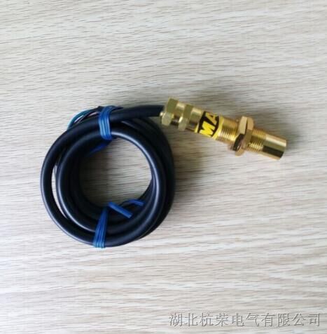 CZX-01-10L速度开关.转速传感器探头
