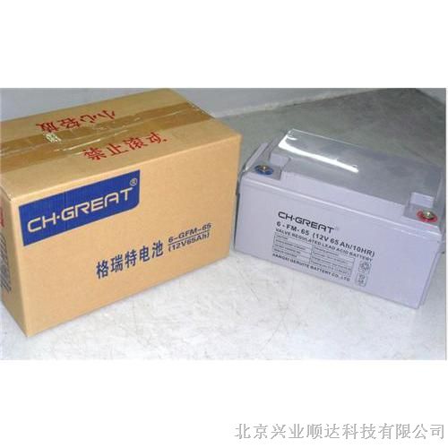 供应CH.GREAT蓄电池 6-FM-65 12V65AH免维护电池