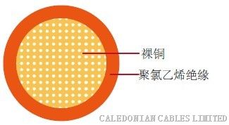 供应TS16949体系AVSS日标汽车线