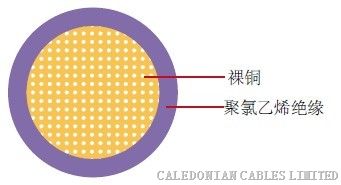 供应TS16949体系CAVS日标汽车线